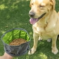 thumbnail image 3 of BotaniNest Lightweight Foldable Travel & Cat Feeding Bowl With Base For Outdoor Use Easy Portable Dish Foldable Feeding Bowl Lightweight Outdoor Feeder With Base Portable Food Grade Nylon, 3 of 3