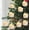 White A, variant on SHIMELE 9Pcs LED Candle Lights with Clips | Flameless Taper Candles | Warm & Cold White Light | Decorative Lamps for Christmas Tree & Events