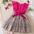 thumbnail image 2 of NIEWTR Robe Tutu en Dentelle pour Bébé Fille, Robe de Cérémonie de Mariage Flower Girl (Rose Vif, 4-5 Ans), 2 of 4