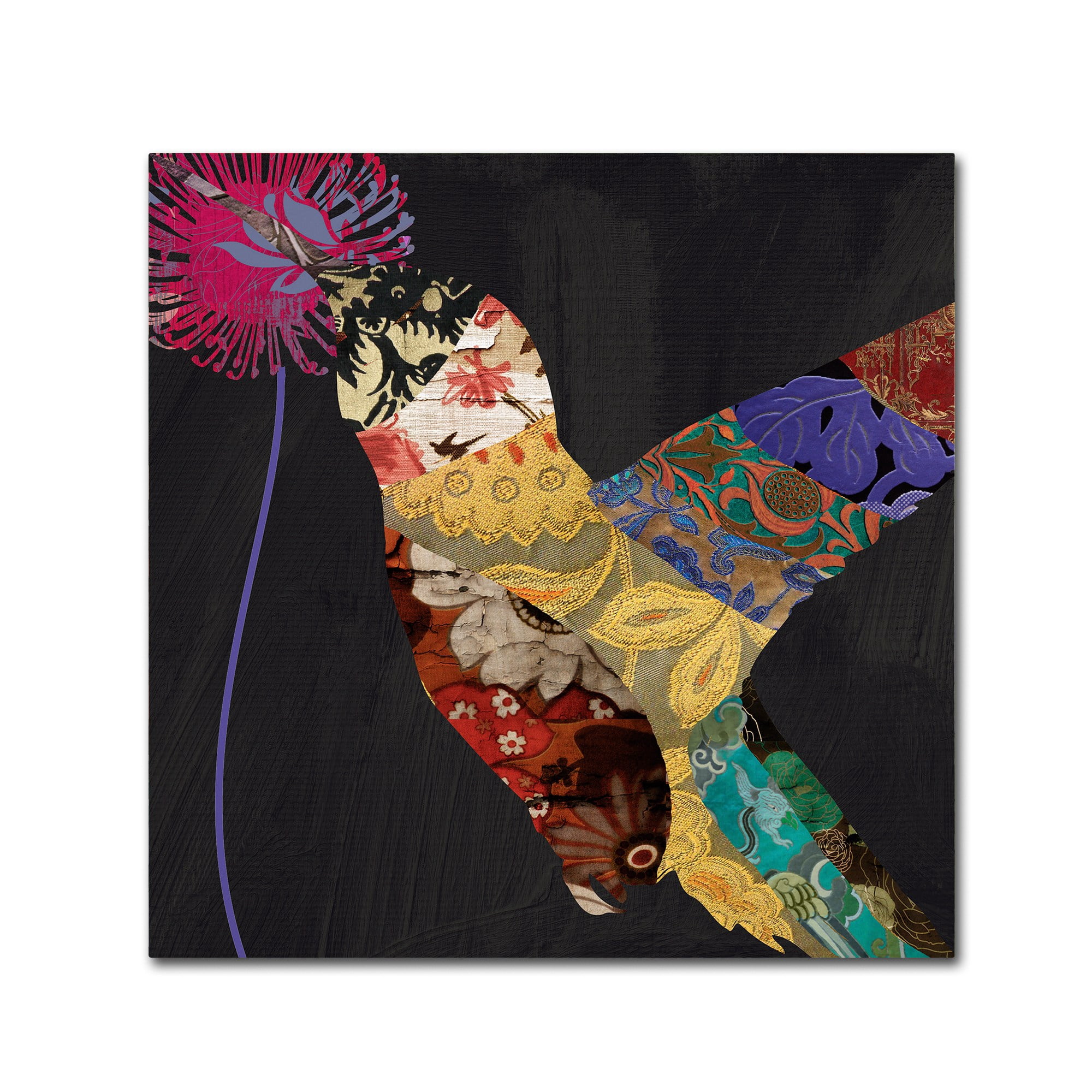 Trademark Fine Art "Hummingbird Brocade  II" Canvas Art by Color Bakery