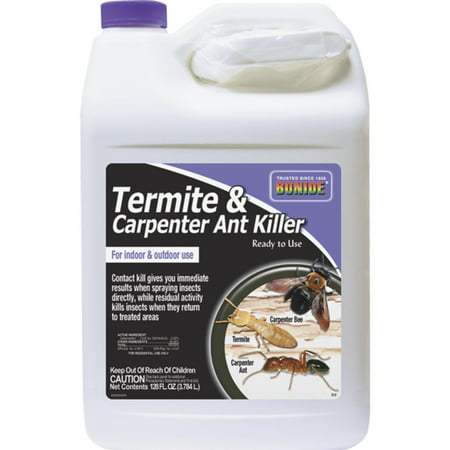 ***Discontinued***Bonide Ready-to-Use Termite and Carpenter Ant Killer, 1 (Best Carpenter Ant Killer)