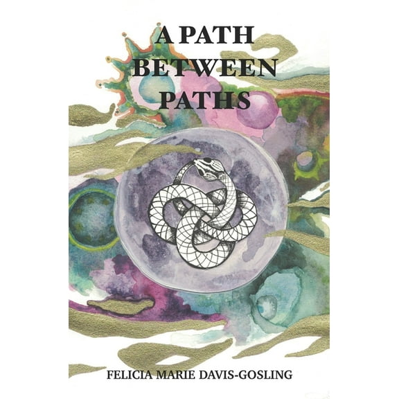 A Path Between Paths (Paperback)