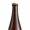 thumbnail image 3 of Ginger Beer Birra Wild 355 ml, 3 of 3