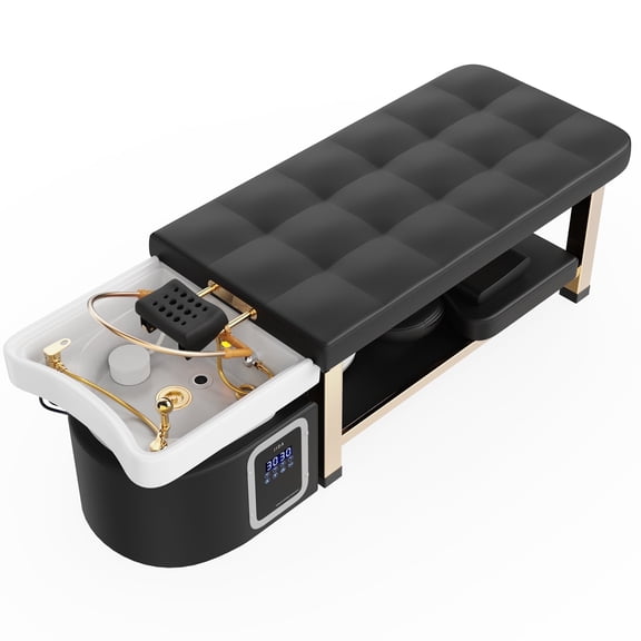 Holaki Stationary Head Spa Massage Table with Water Cycle & Fumigation Salon Equipment, PU Leather Stainless Steel Gold Color-Plated Frame for Beauty Head Spa Physical Therapy Massage, Black