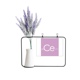 thumbnail image 1 of Quimica elementos lantanidos período mesa cerio CE Tarjeta de jarrón de lavanda artificial, 1 of 3