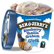 Ben & Jerry's Blueberry Vanilla Graham Greek Frozen Yogurt, 16 oz