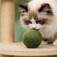 thumbnail image 4 of Large 10cm Catnip Ball for Cats, Natural Cat Toy for Dental Cleaning and Teeth Health, Interactive Catnip Chew Toy for Stress Relief, Cat Treats Ball for Kittens and Adult Felines Playtime, 4 of 6