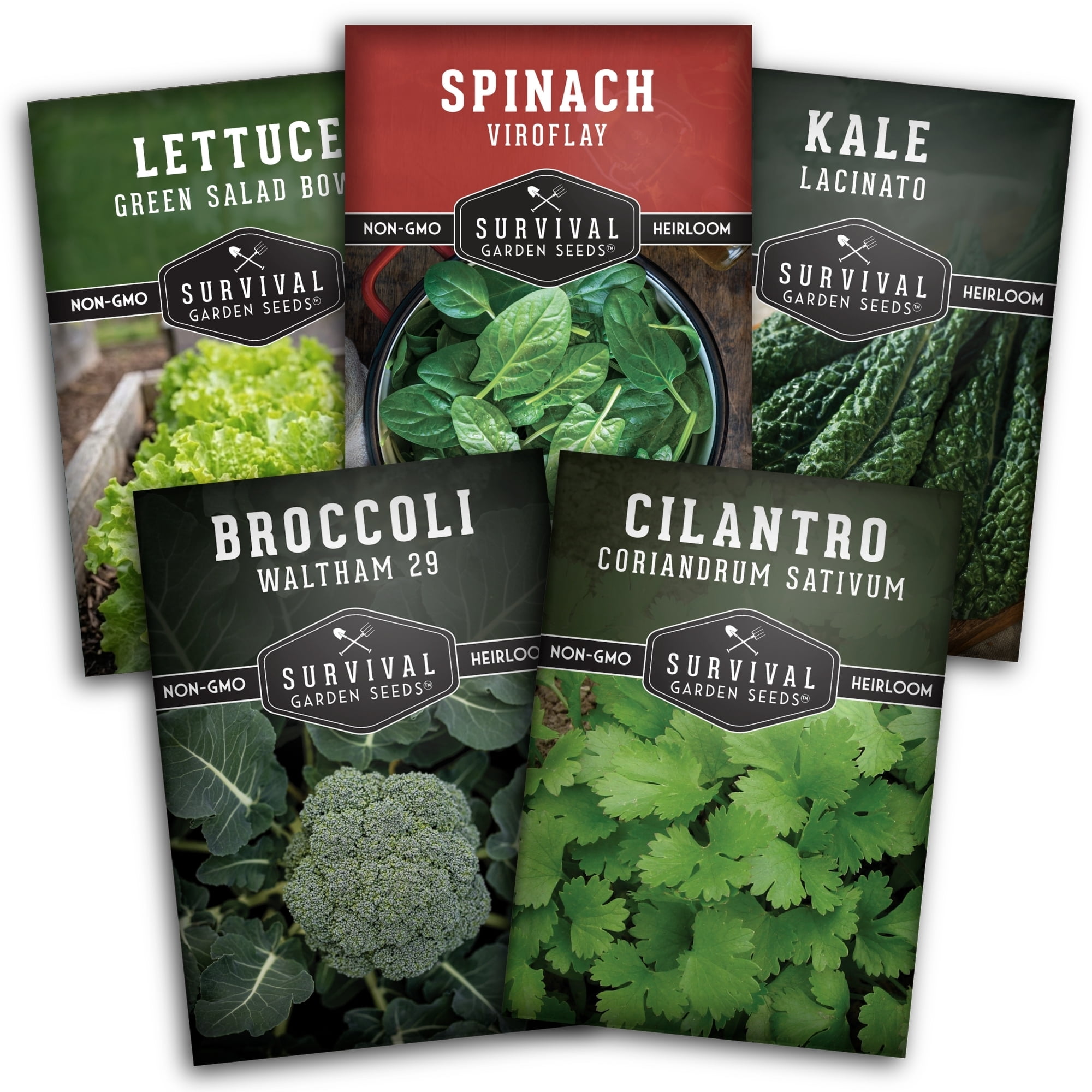 Valley Greene, 50 Packs Assorted Heirloom Vegetable Seeds, 30+ Varieties  for Gardening - Walmart.com
