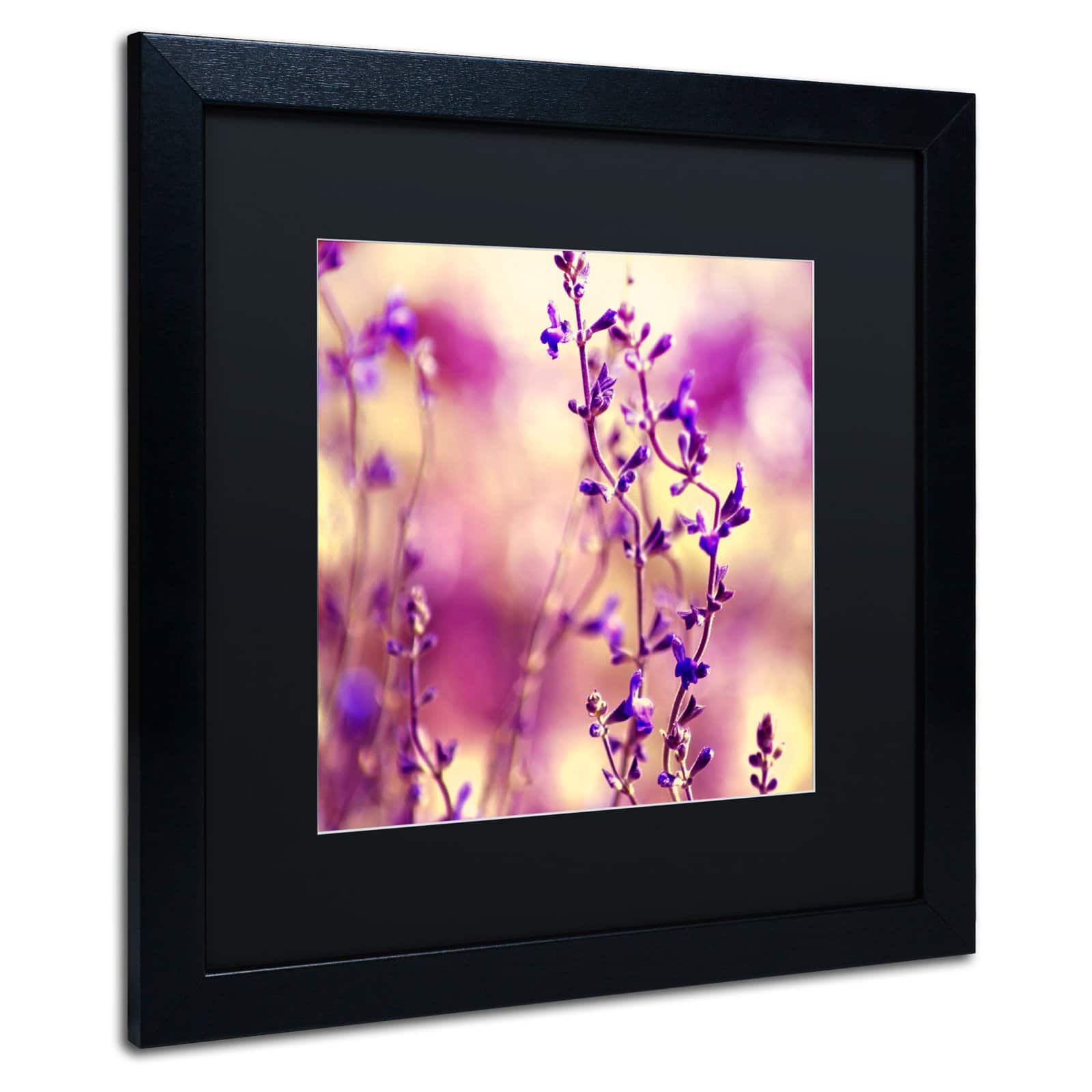 Trademark Fine Art "Summer Melodies" Canvas Art by Beata Czyzowska Young White Matte, Black Frame