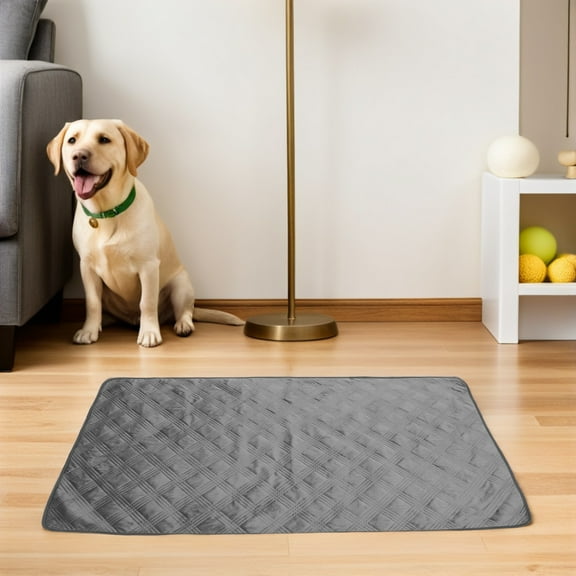 LOLIPPYY Dark Grey Waterproof Dog Blanket for Sofa with Durable Chew Resistant Material