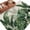 Off-White, variant on Palm Leaves Tropical Area Rugs 5'x8', Washable Small Throw Rugs for Classroom Bedroom, Green Botanical Summer Linen Indoor Outdoor Rug Non-Slip Low Pile Carpet Runner Reversible Floor Mats