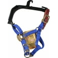 thumbnail image 2 of Hamilton Halter Company-Adjustable Horse Halter With Leather Headpole- Blue Foal, 2 of 2