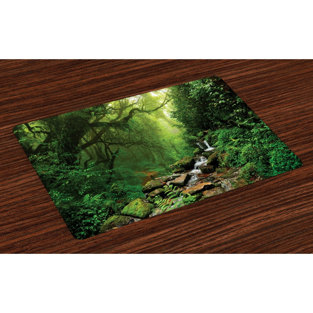 Rainforest Placemats Set of 4 Forest in Nepal Footpath Wildlife Spring ...