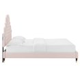 thumbnail image 6 of Modway Gwyneth Tufted Performance Velvet Full Platform Bed in Pink, 6 of 10