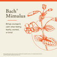 thumbnail image 3 of Bach Original Flower Remedies, Mimulus - 20 mL Dropper, 3 of 6