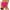 Hot Pink, variant on Yindaity Swimwear Leakproof Bikini Bottoms Black High Waisted Coverage Swimsuit Bottom for Girls Teens Women Red,M
