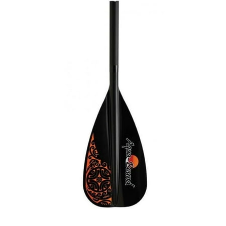 Stand Up Paddle - 2 Piece