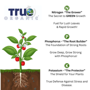 True Organic Citrus & Avocado Food Granular Fertilizer, 4lbs