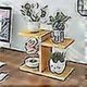thumbnail image 2 of Desktop Plant D, Succulent Pots Plant Rack, Desktop 3 Tier Flower Rack, For Balcony And Bed(:, 2 of 3