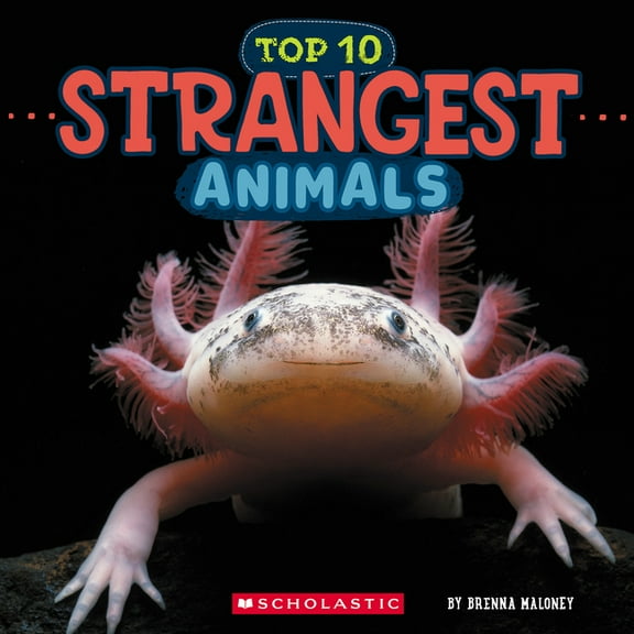 Wild World Strangest Animals (Wild World: Top 10), (Hardcover)