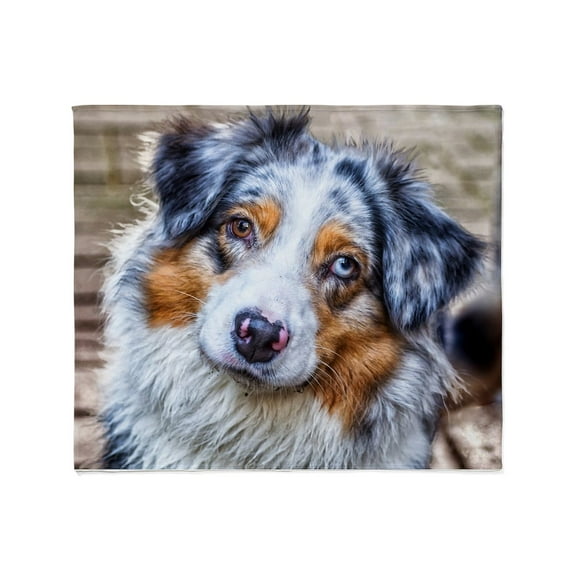 CafePress - Australian Shepherd Throw Blanket - Soft Fleece Throw Blanket, 50"x60" for All Ages