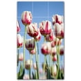 thumbnail image 1 of Picture-Tiles.com: Flowers Ceramic Tile Wall Mural WAL500629-35S. 12.75"W x 21.25"H using (15) 4.25" x 4.25" Ceramic Tiles-Satin Finish, 1 of 3