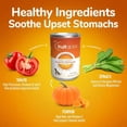 thumbnail image 4 of Fruitables SuperBlend Complément Alimentaire Digestif Citrouille Chien, 4 of 6