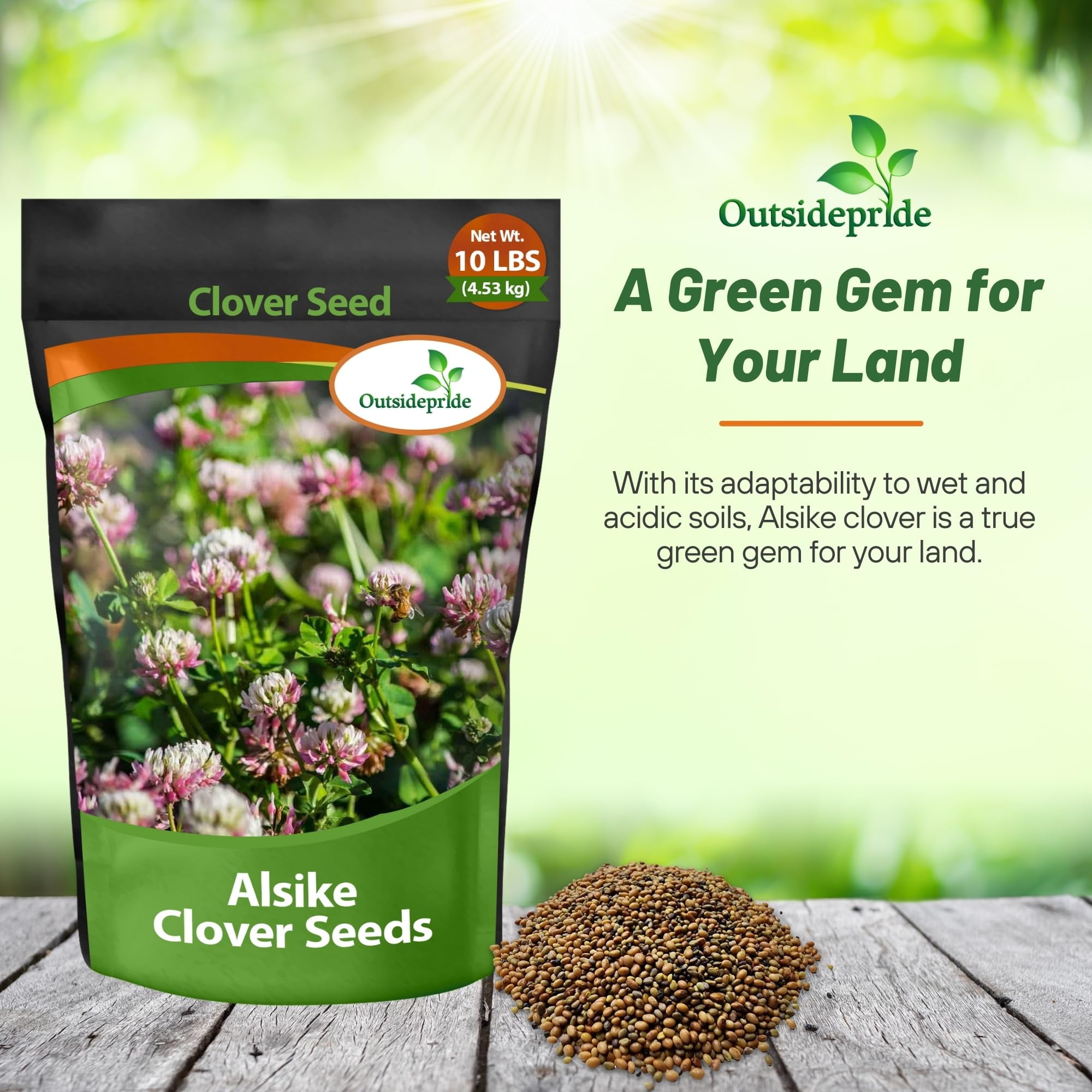 Outsidepride 10 lb. Biennial Alsike Clover Seed for Forage, Hay, Greenchop, & Grazing