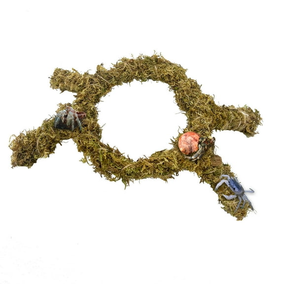 Hermit Crab Accessories 12.6in  Climbing Toys for Hermit Crab Tank Habitat
