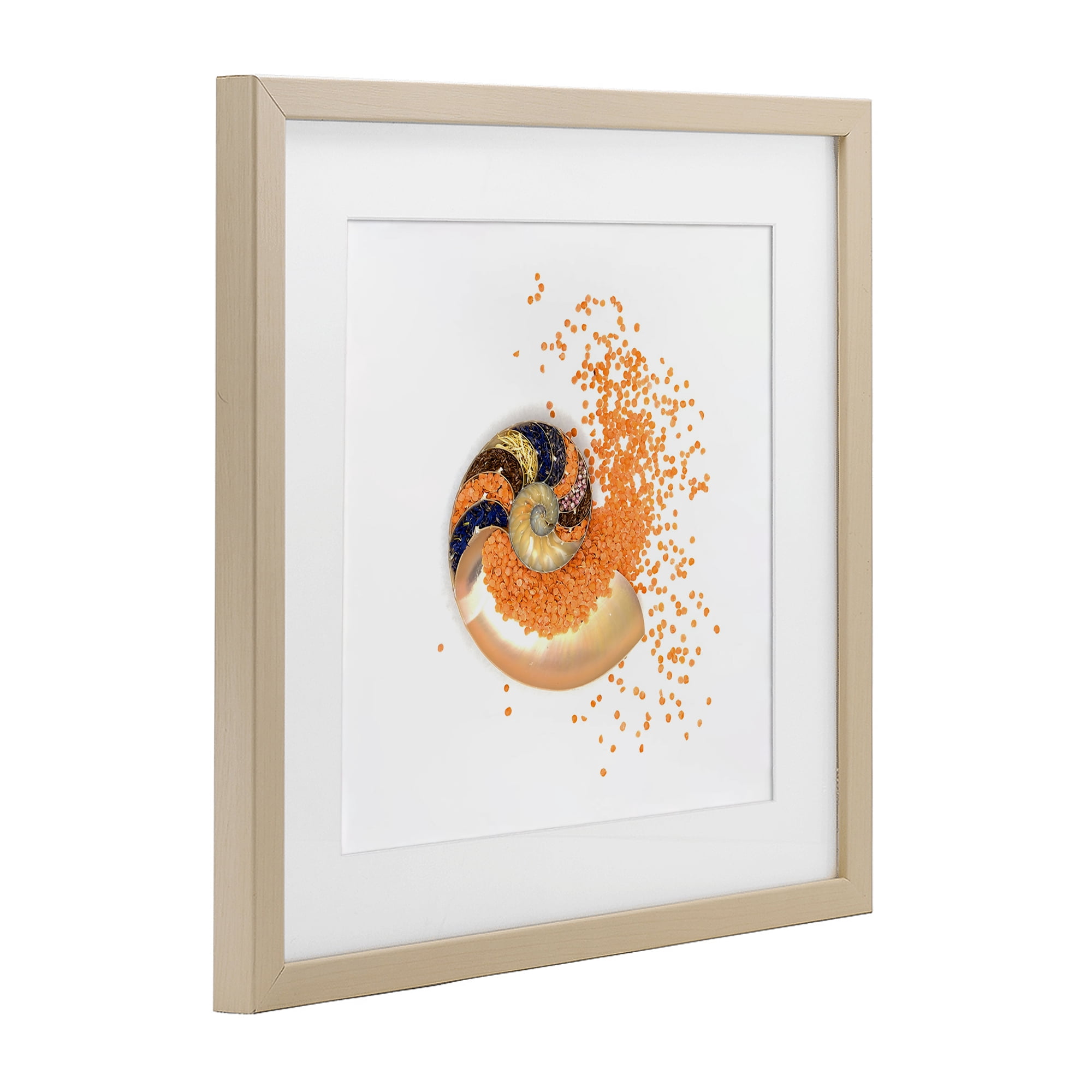 Stupell Industries Orange Nautilus Spiral Birch Framed Print Under Glass, design by Beth Adoette