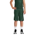 thumbnail image 1 of PosiCharge Mesh Reversible Spliced Short, 1 of 1