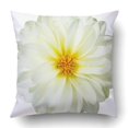 thumbnail image 1 of RYLABLUE White flower Pillowcase Throw Pillow Cover Case 18x18 inches, 1 of 2