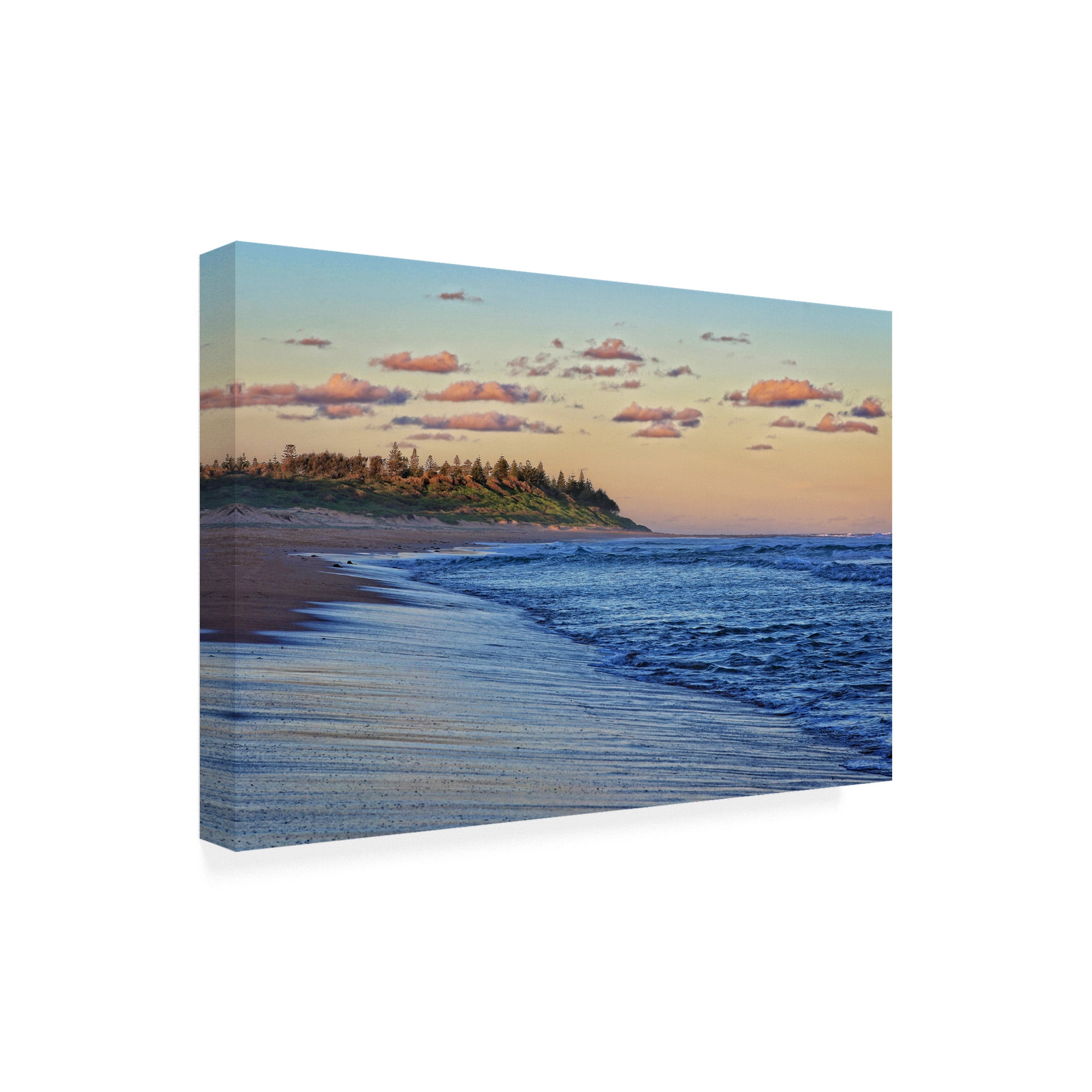 Trademark Fine Art 'BC Evening stroll' Canvas Art by Beata Czyzowska Young