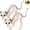 2 PCS, variant on Joyfy 2 Pcs Cat Skeleton Halloween Decoration,7 Inch Posable Plastic Animals Halloween Skeleton for Indoor Outdoor Halloween Decorations,Haunted House Party Props