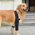 thumbnail image 2 of Protector de Codo TANGJMXG Envoltura Canina para patas Delanteras Tamaño L, 2 of 4