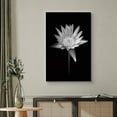 thumbnail image 2 of wall26 Canvas Print Wall Art Blooming Water Lily Flower Close Up Nature Plants Photography Modern Art Rustic Scenic Dramatic Black and White for Living Room, Bedroom, Office - 12"x18", 2 of 5