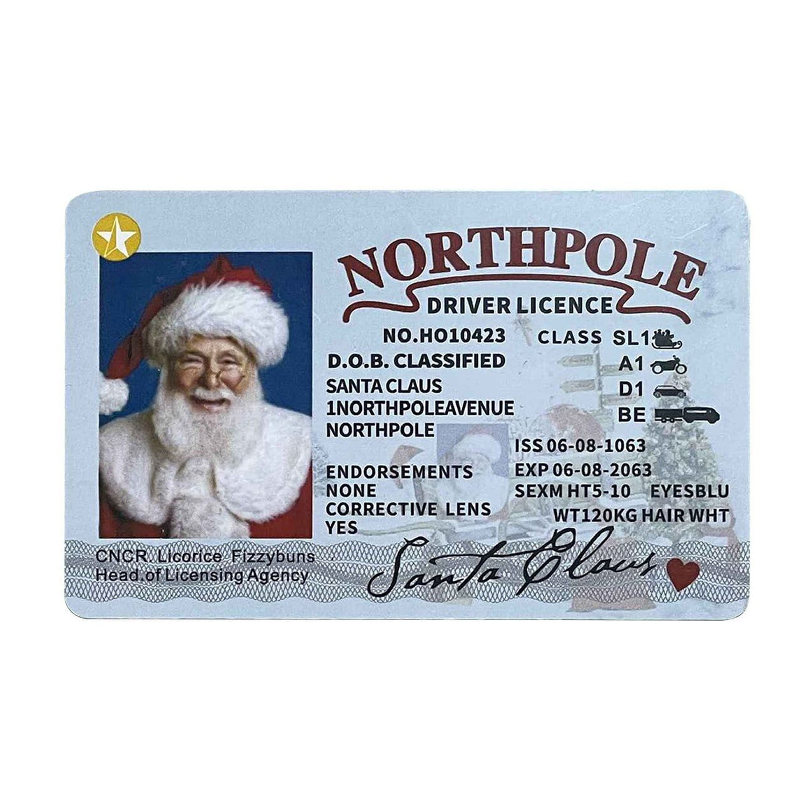Lost Or Stolen Id Card