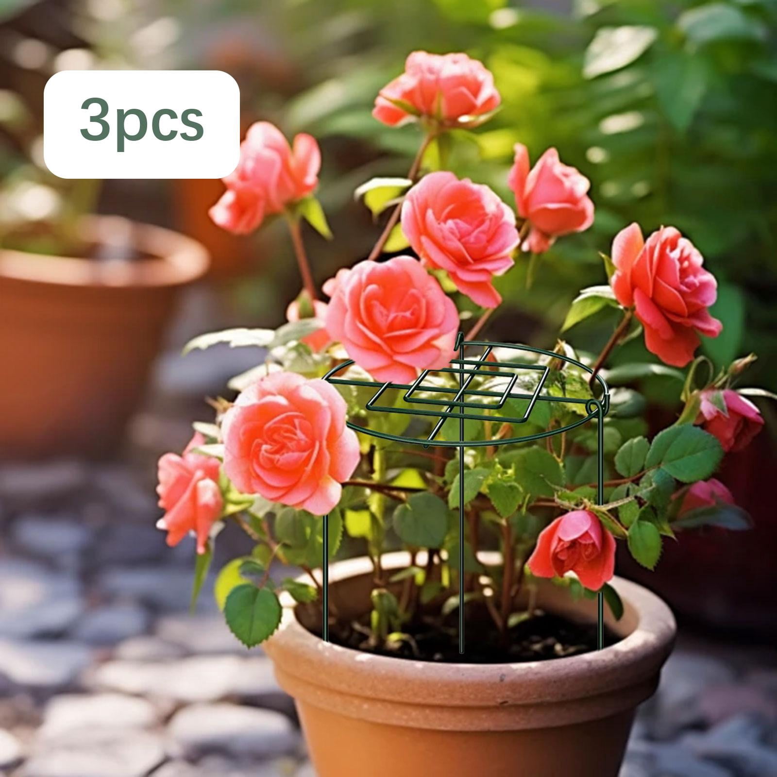 colaxi 3 Pieces Peony Support Cage Strong for Lupin Flopping Flowers Outdoor Plants 30x45cm