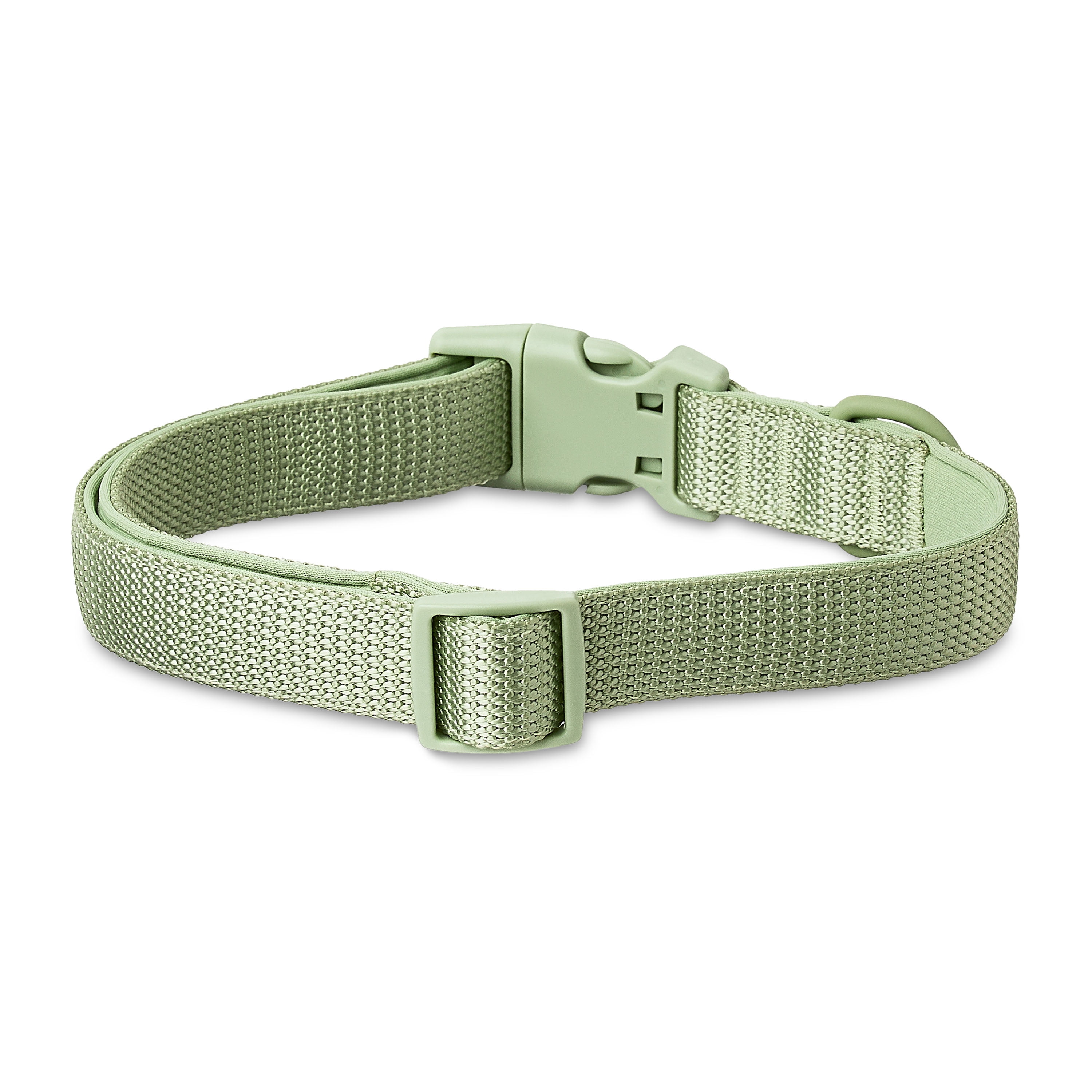Vibrant Life Neoprene Cushioned Adjustable Dog Collar, Sage Green, Large