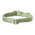 thumbnail image 6 of Vibrant Life Neoprene Cushioned Adjustable Dog Collar, Sage Green, Large, 6 of 8