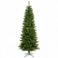 thumbnail image 1 of Vickerman A103065 6.5 Ft. x 32 in. Salem Pin Crayon 493Tips, 1 of 3
