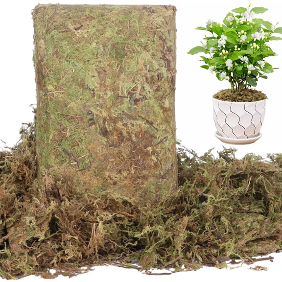 DIY Filamentous Moss, 2.2 lbs Dried Moss with Realistic Texture, Decorative Landscaping Material for Planting, Terrariums, Vivariums, and Garden Decoration
