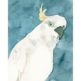 thumbnail image 3 of Caroline, Emma 12x14 Black Modern Framed Museum Art Print Titled - Cockatoo Portrait I, 3 of 5