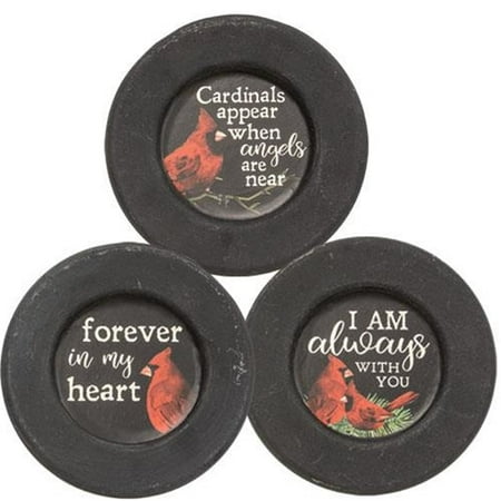 

CWI Cardinal Memorial Plate (3 Count Assortment)