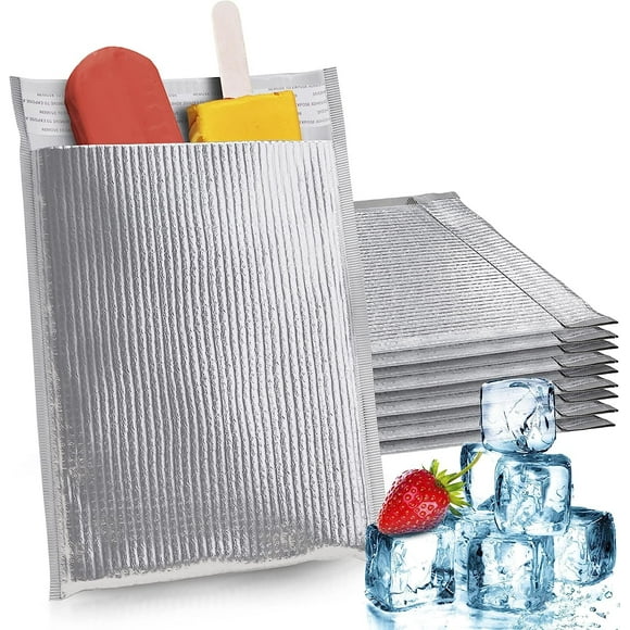 Insulated Shipping Bag