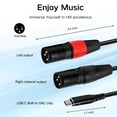 thumbnail image 4 of Cable de audio USB C a doble XLR macho Anewbig, 6.6 pies, negro, 4 of 9