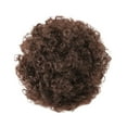 thumbnail image 1 of African Drawstring Ponytail, Premium Synthetic Curly Natural Drawstring Ponytail, 1 of 3