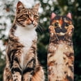 thumbnail image 3 of Toalla de mano AGRIMONY Cat Funny para baño y cocina - Cute D, 3 of 6