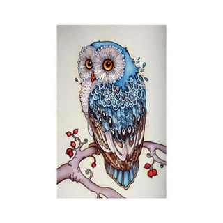 Crystal Owl Diamond Painting Kit,DIY Diamond Painting Set with