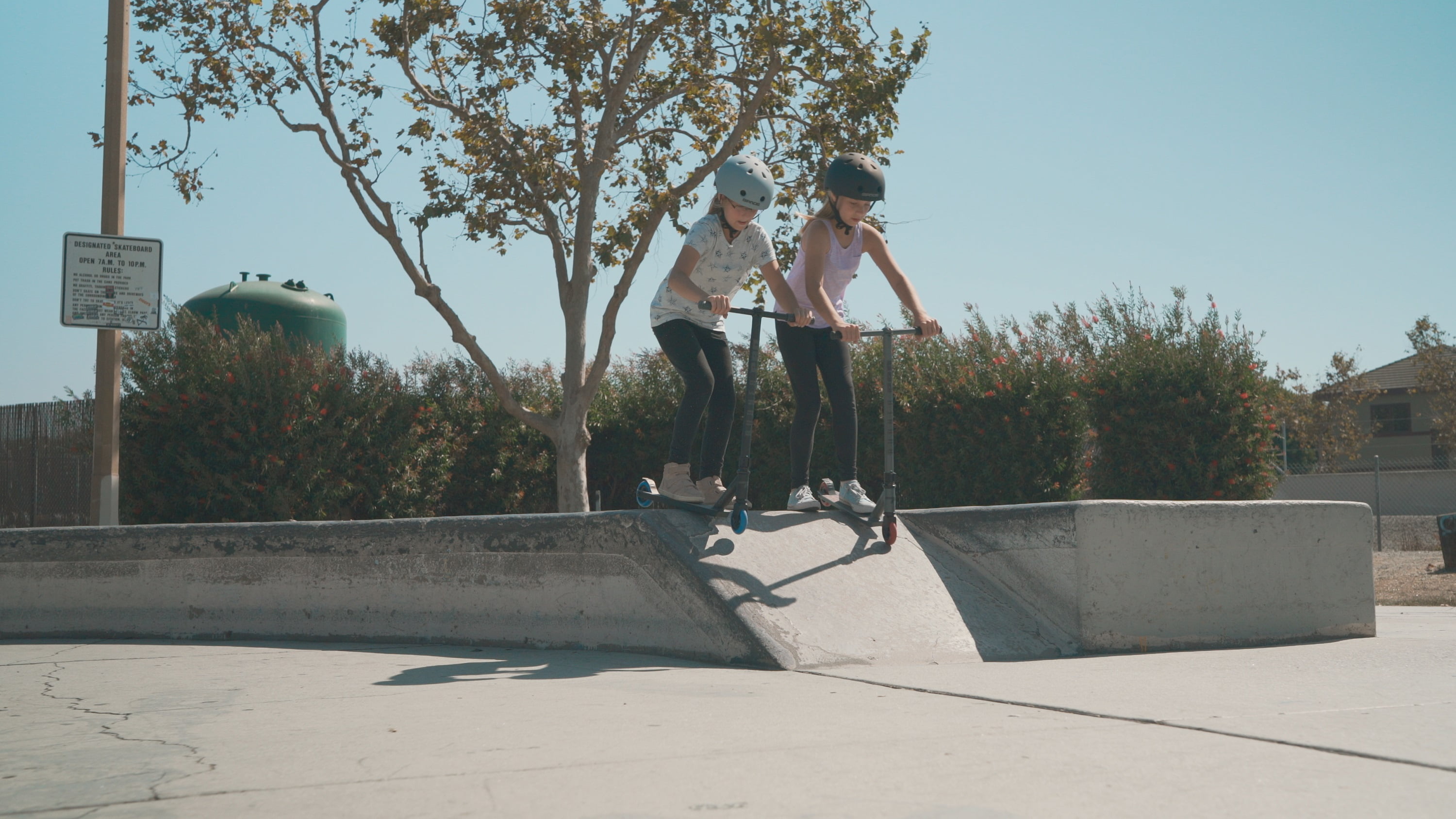 Pulse Performance Products Burner Pro Freestyle Scooter